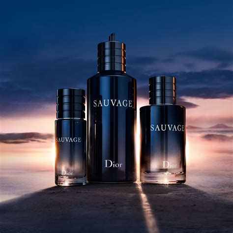 dior under 200|dior sauvage refill.